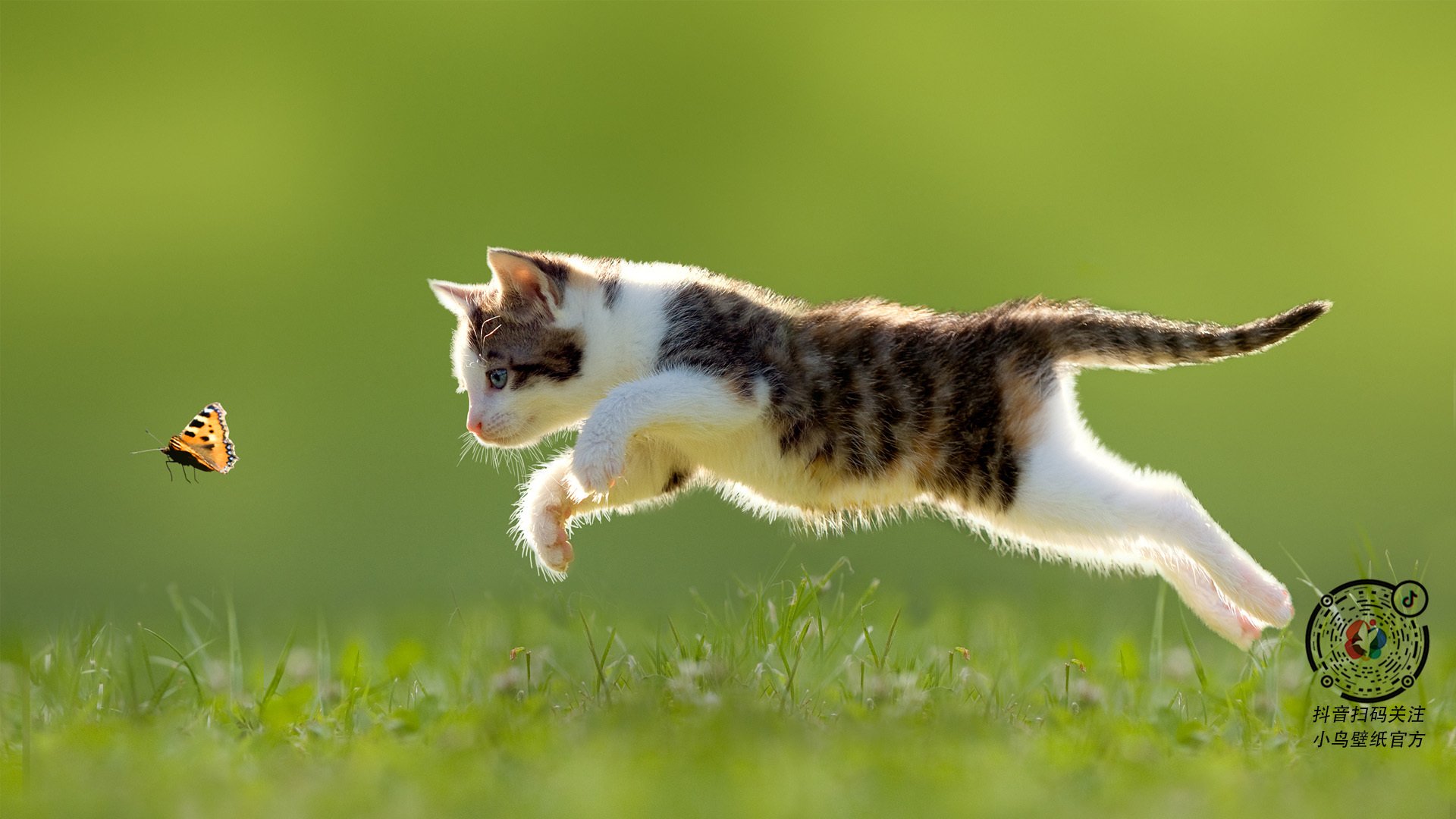 《电竞装备升级：硬核玩家首选的硬件推荐》，电竞装备 性价比