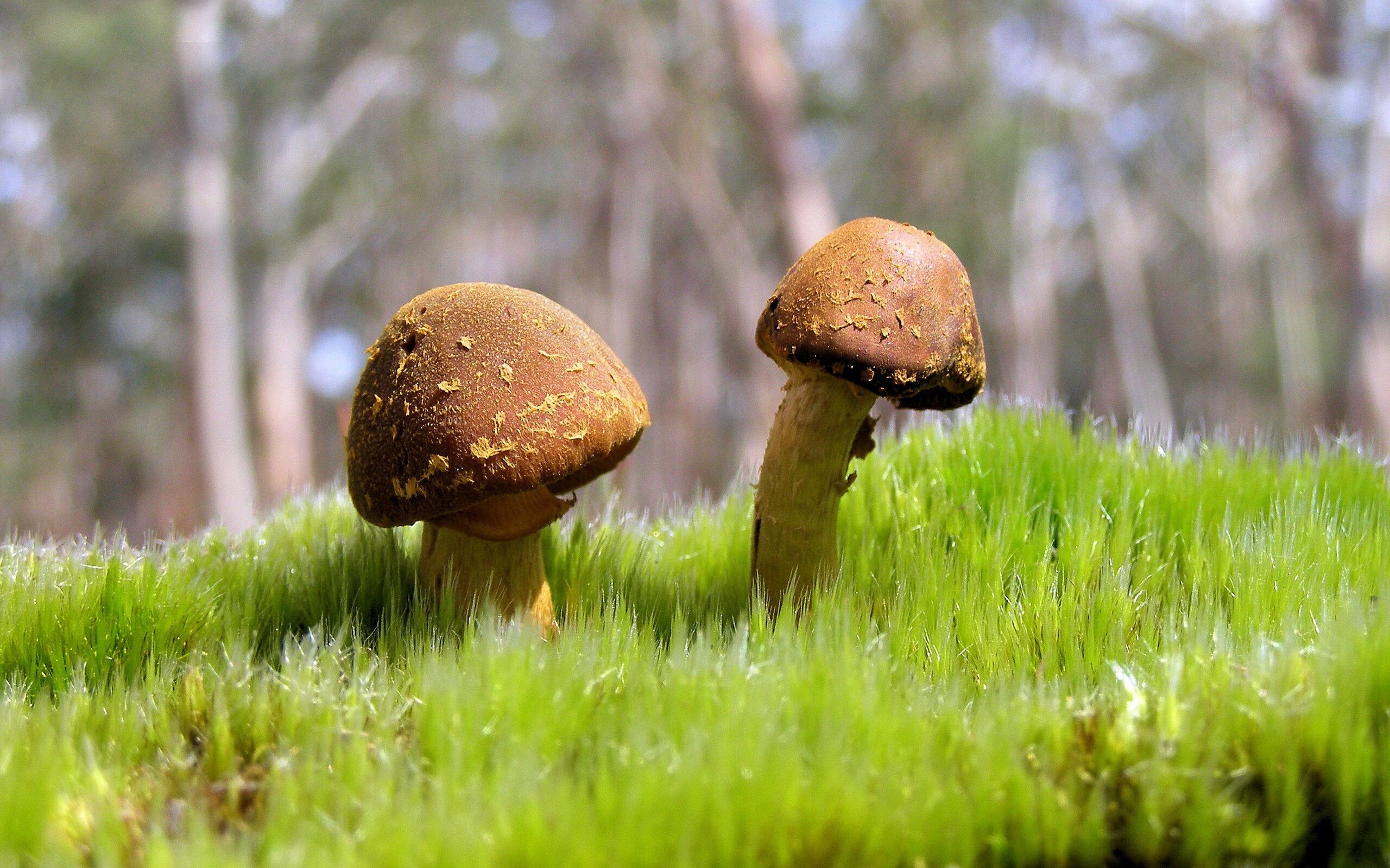 天赋异禀：天赋球员的突出表现盘点，天赋异禀每个人的能力