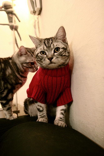 明日方舟“未来猎人”线上淘汰赛火焰升腾，猎狼人红明日方舟