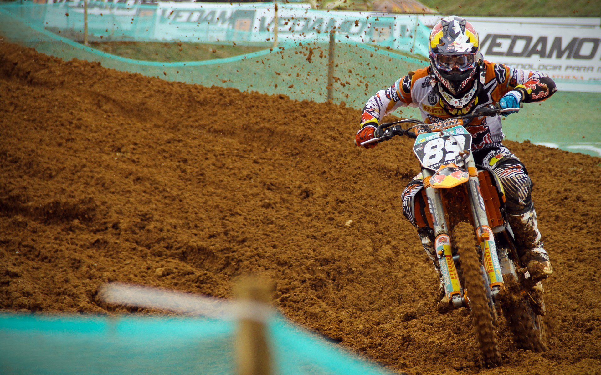 仰泳赛场摩纳哥选手节奏稳定，仰泳赛场摩纳哥选手节奏稳定嘛